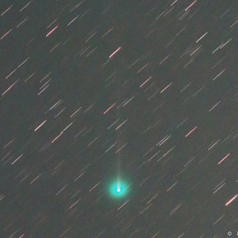 ラブジョイ彗星 (C/2017 E4)