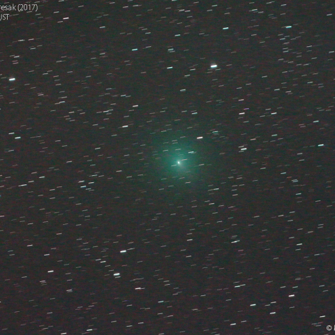 300ｍｍによるタットル-ジャコビニ-クレサーク彗星