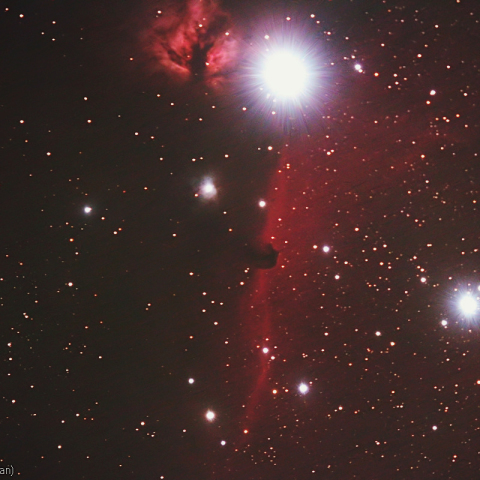ミラーレンズによる馬頭星雲