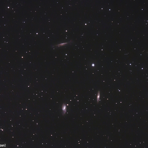 ミラーレンズによるM65・M66・NGC3628