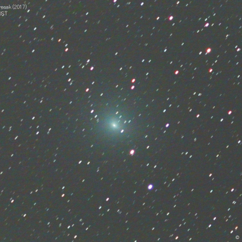 300ｍｍによるタットル-ジャコビニ-クレサーク彗星