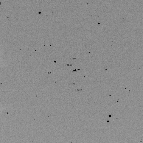 エンケ彗星の予報位置