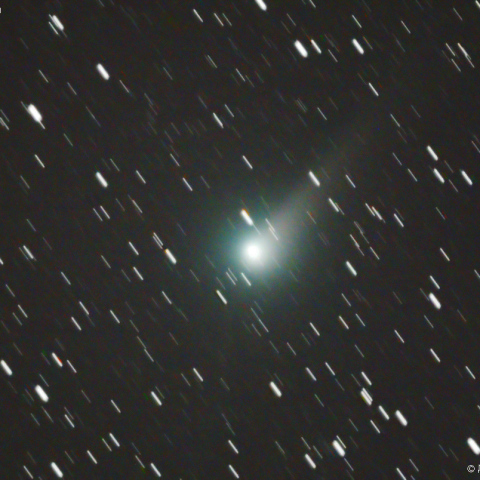 300mmによるジョンソン彗星