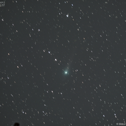 ジョンソン彗星(RGB画像)