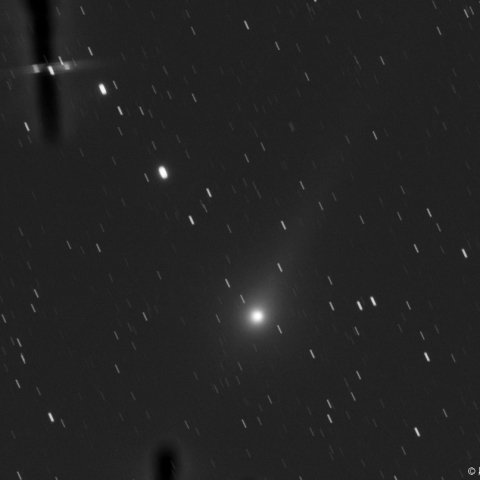 ジョンソン彗星(L画像)