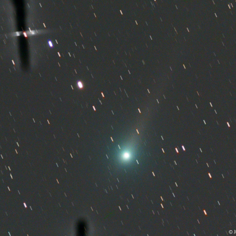 ジョンソン彗星(L-RGB合成画像)