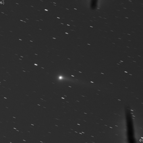 パンスターズ彗星と霜造の柱(L画像)