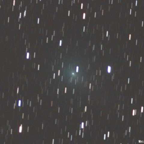 ASASSN彗星(300mmLRGB合成)