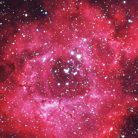 300mmLRGB合成によるバラ星雲