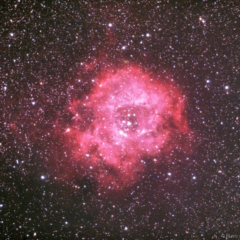 冷却CMOSによるバラ星雲