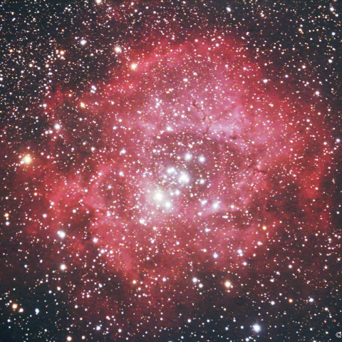 ミラーレンズによるバラ星雲