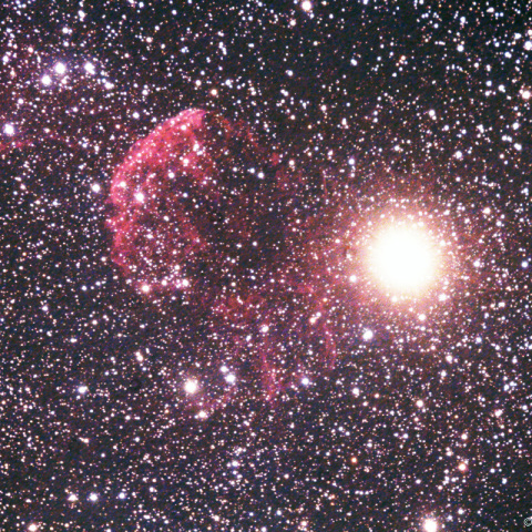 ミラーレンズによるクラゲ星雲