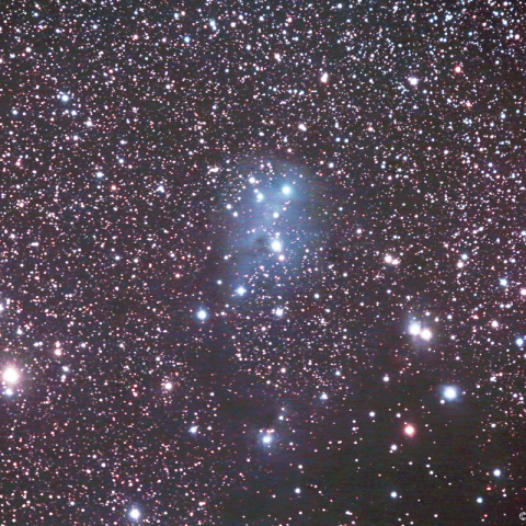 ミラーレンズによるIC2169