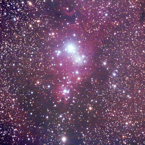 ミラーレンズによるクリスマスツリー星団