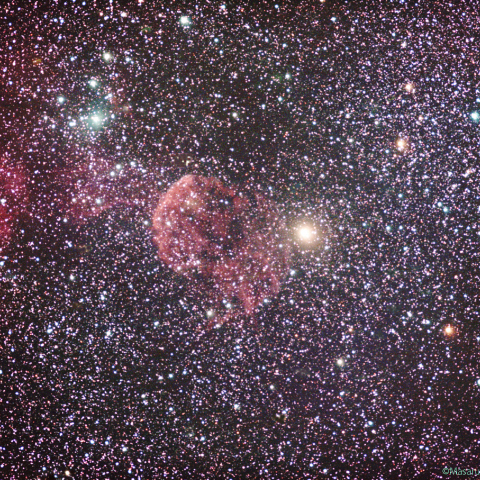 冷却CMOSによるクラゲ星雲