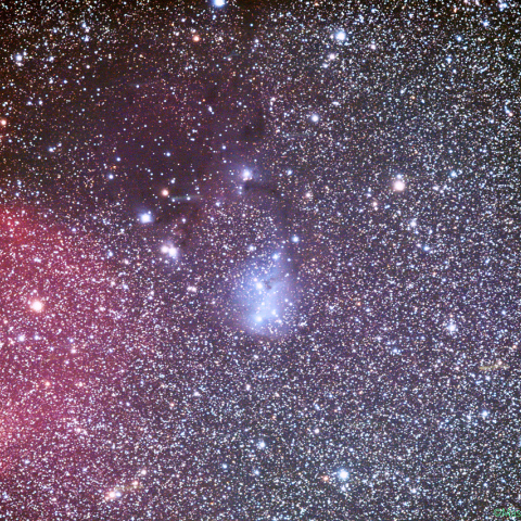 冷却CMOSによるカタツムリ星雲