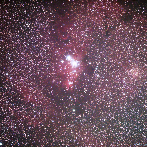 冷却CMOSによるクリスマスツリー星団