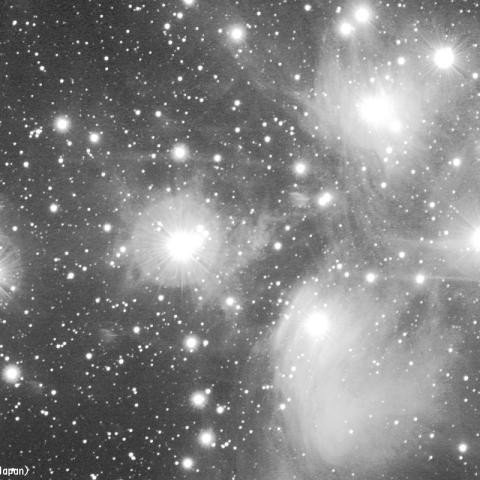 プレアデス星団のL画像