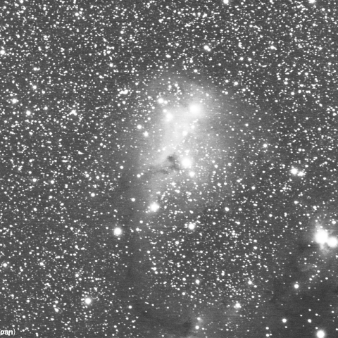 カタツムリ星雲(IC2169)のL画像