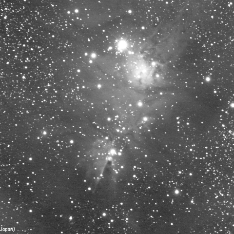 クリスマスツリー星団のⅬ画像