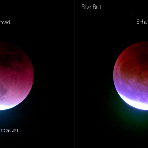 ブルーベルト(BlueBelt)