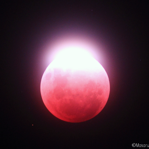 Super Blue Blood Bright Moon