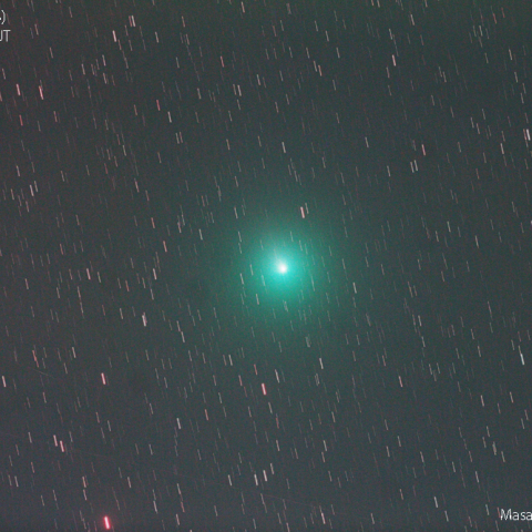 ウィルタネン彗星：2018/12/8