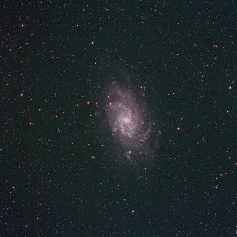 M33