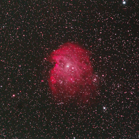 1.4倍エクステンダーによるモンキーフェイス星雲