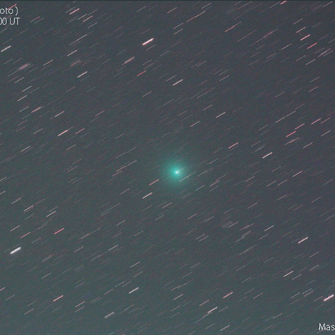 岩本彗星：20190203