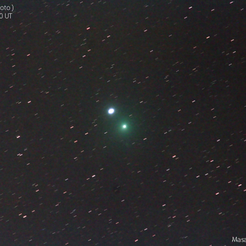 岩本彗星：20190213