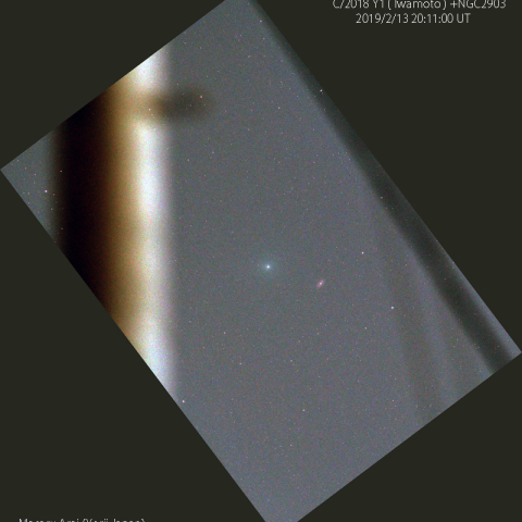 NGC2903に接近した岩本彗星