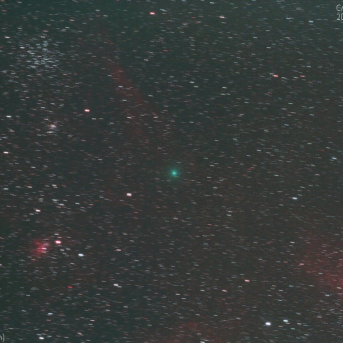 岩本彗星:2019/3/1