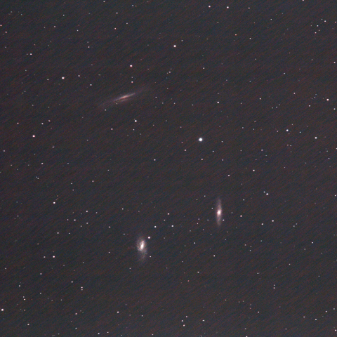 +CONTAX MUTER 2Xによるしし座の三星雲