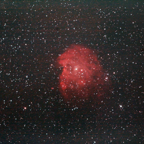 +CONTAX MUTER2Xによるモンキーフェイス星雲