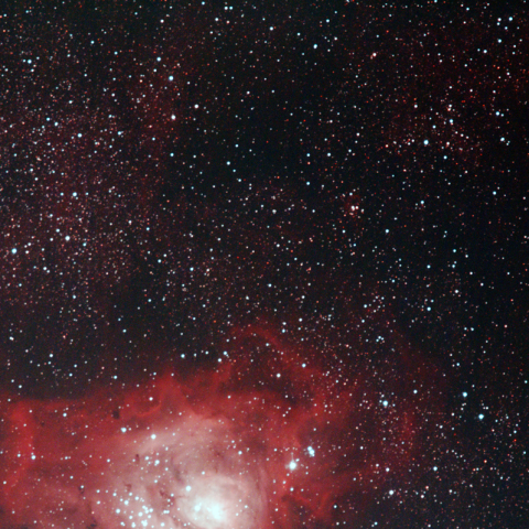 半分、赤い。（M8）