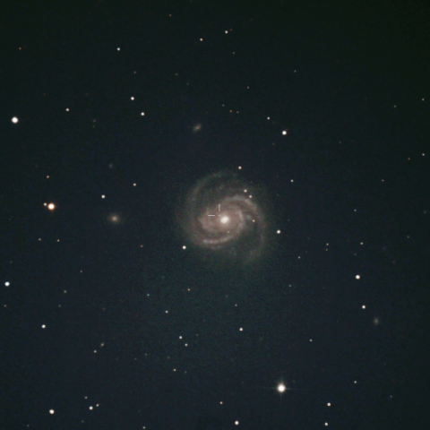 M100に出現した超新星SN2019ehk