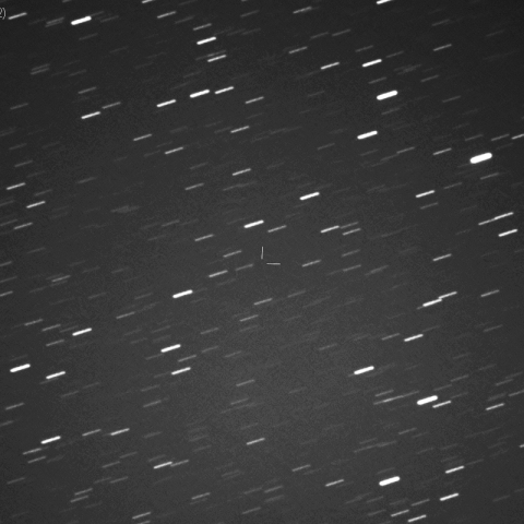 C/2018 X2 ( Fitzsimmons ) :20190502