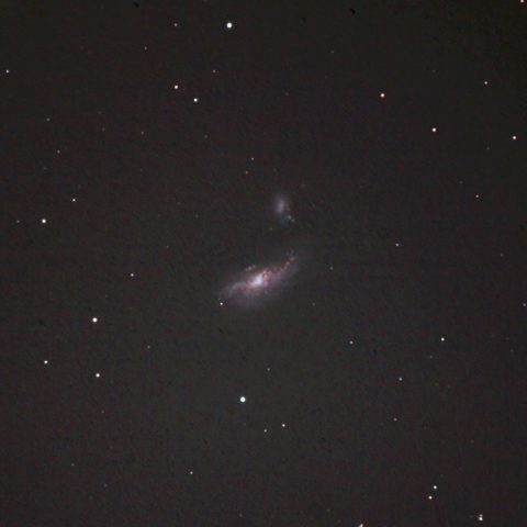 まゆ銀河（NGC4490）
