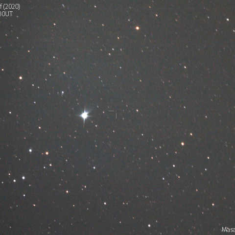 ワイスマン-スキッフ彗星：2019/11/1