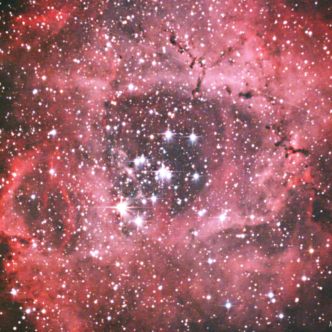 バラ星雲と人工衛星