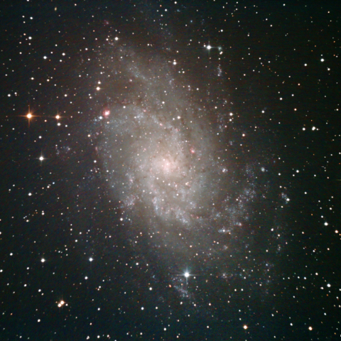 M33