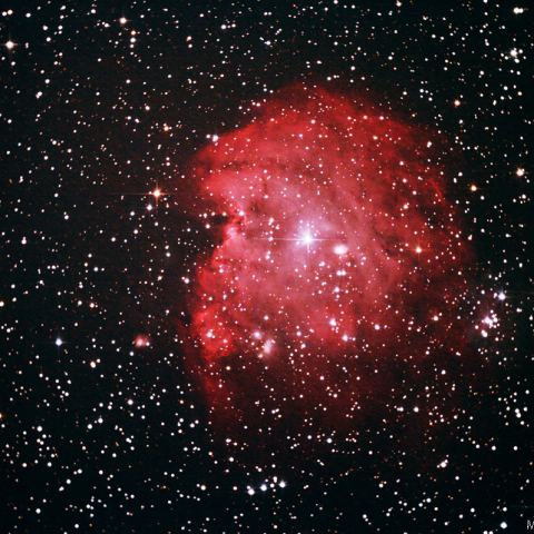 モンキーフェイス星雲