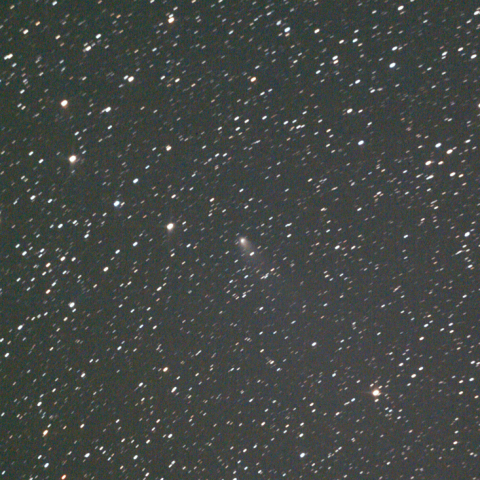 マクノート彗星(260P)：2019/11/01PM