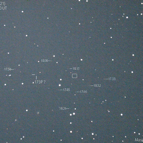 ミュラー第5彗星(173P)の予報位置：2019:11:21