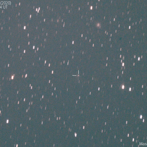 ワイスマン-スキッフ彗星 (114P):2019/11/29