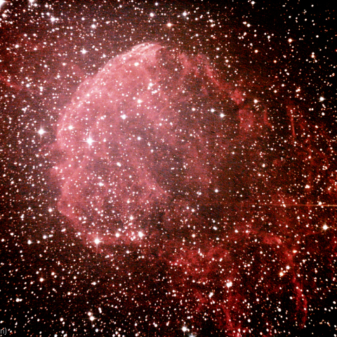 くらげ星雲(IC443)