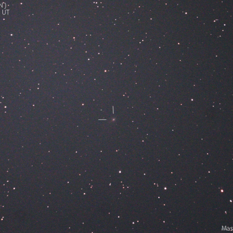 エイサスエスエヌ彗星：2019/11/29