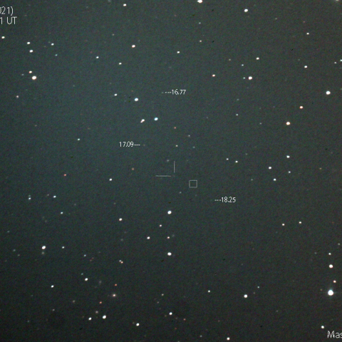 ミュラー第5彗星(173P)の予報位置：2019:11:29