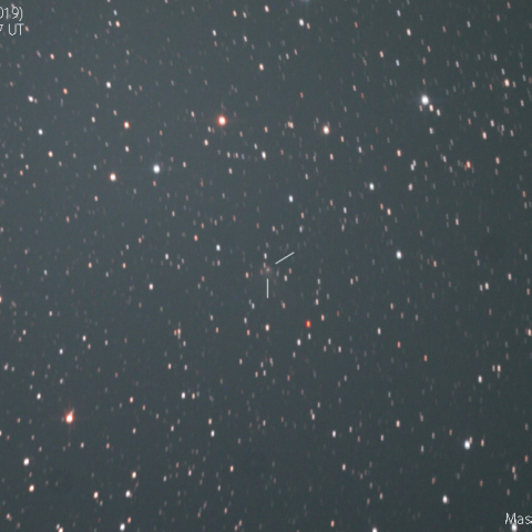 マクノート彗星 260P：2019/11/29